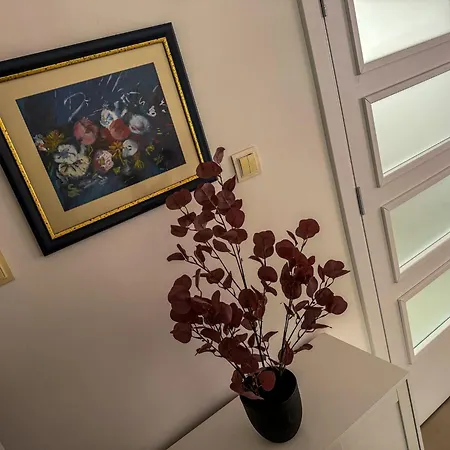 Mirror Apartment *